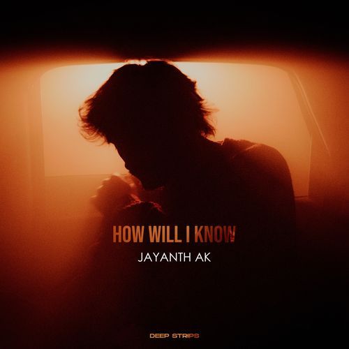 How Will I Know_poster_image