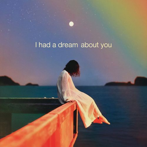 I had a dream about you