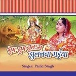 Shitla Mai Ke Pujnawa