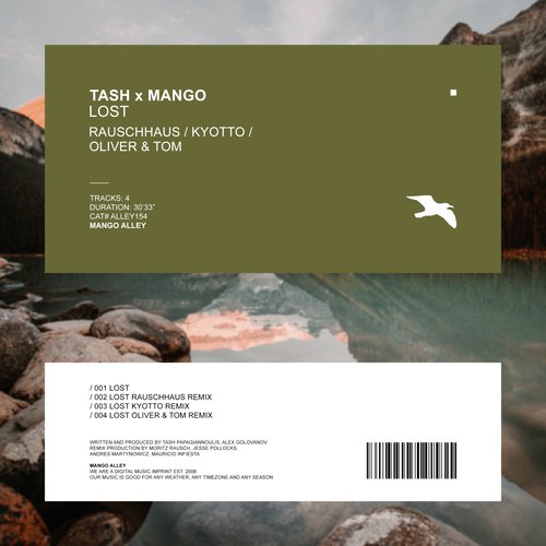 Lost (Rauschhaus Remix) cover art