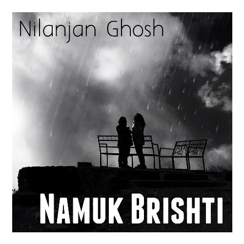 Namuk Brishti_poster_image