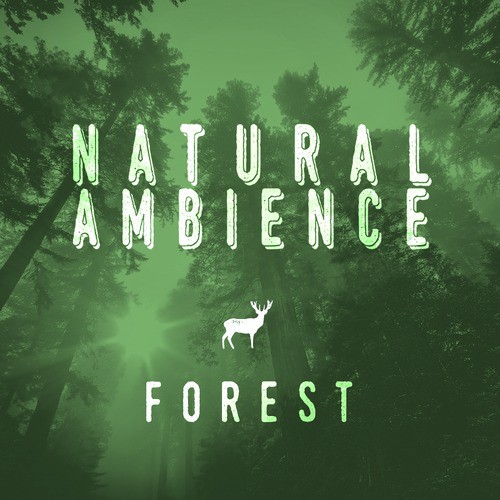 Natural Ambience - Forest