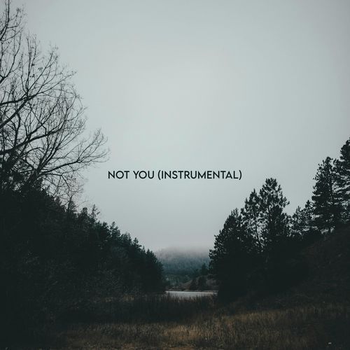 Not You (Instrumental)