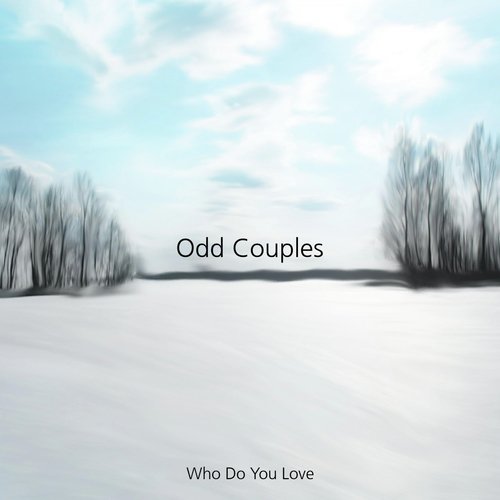 Odd Couples_poster_image