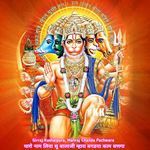 थारो नाम लिया सू बालाजी म्हारा बगडया काम बणगा