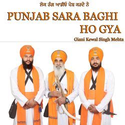 Punjab Sara Baghi Ho Gya