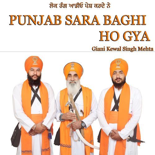 Punjab Sara Baghi Ho Gya