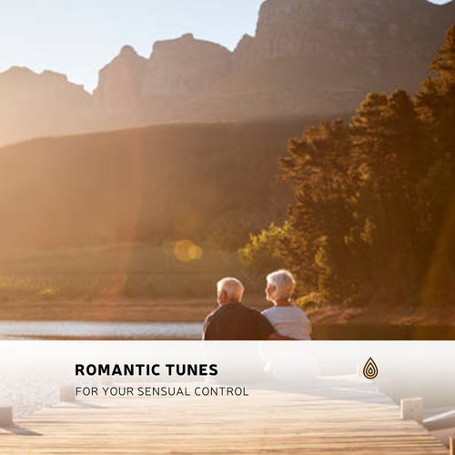 Romantic Tunes for Your Sensual Control