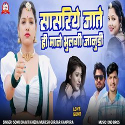 Sasariye Jate Hi Mane Bhul Gi Janudi