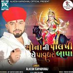 Sonani Palkhi Ye Padharo Bapa