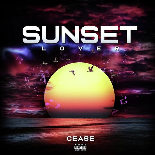 Sunset Lover (Remix)_poster_image