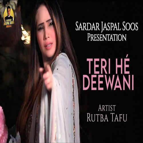 Teri He Deewani
