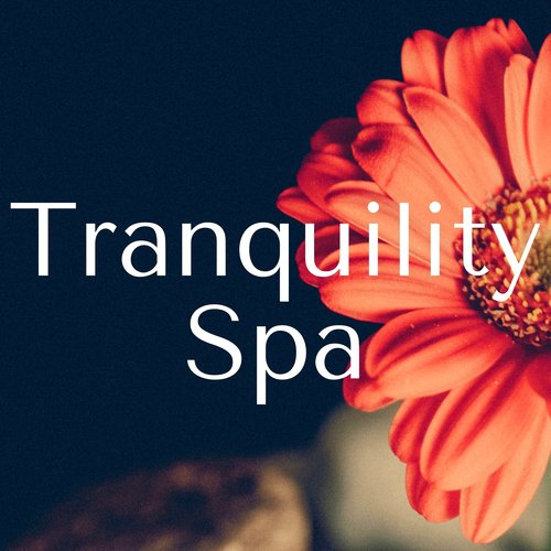 Tranquility Spa: Most Popular Massage Music, Serenity Relaxing Piano and Nature Sounds for Total Relax