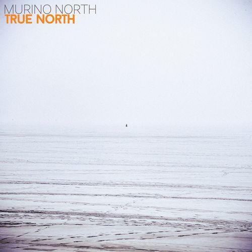 True North cover art