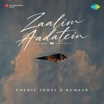 Zaalim Aadatein