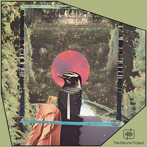 finch cover art