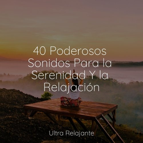 40 Poderosos Sonidos Para la Serenidad Y la Relajación_poster_image