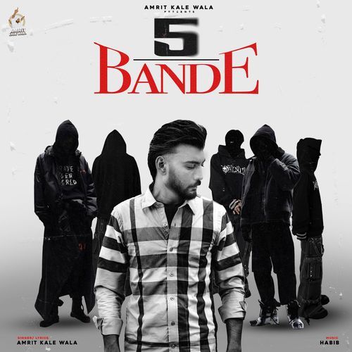 5 Bande
