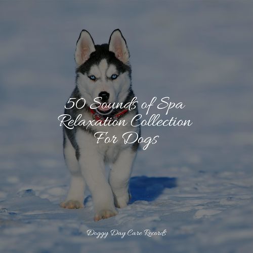 50 Sounds of Spa Relaxation Collection For Dogs