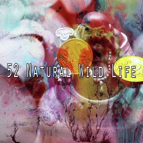 52 Natural Wild Life