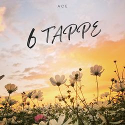 6 Tappe-MwcoRTYFfwc