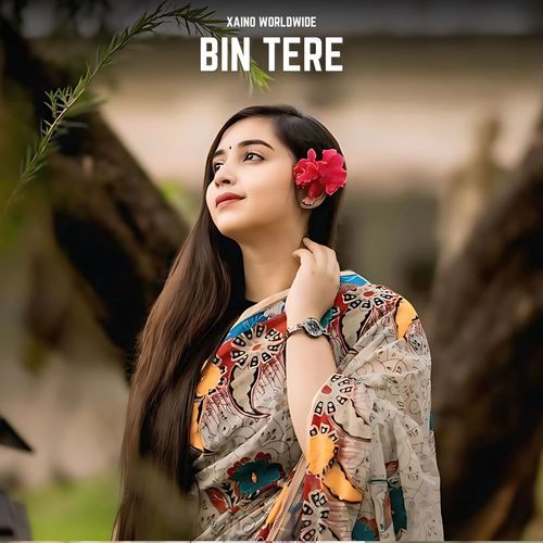 Bin Tere