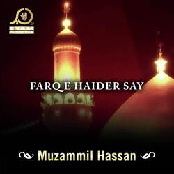 Farq E Haider Say-Gz4YCAAJQVg