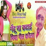 Gehu Na Katai Piya Gaysh Karela