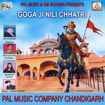 Goga Ji Nili Chhatri