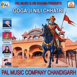 Goga Ji Nili Chhatri