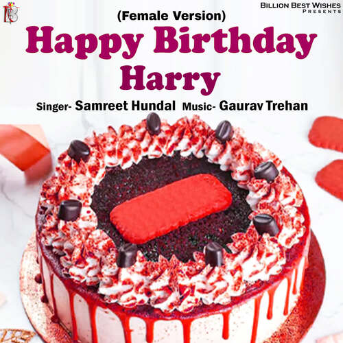 Happy Birthday Harry (Female Version)