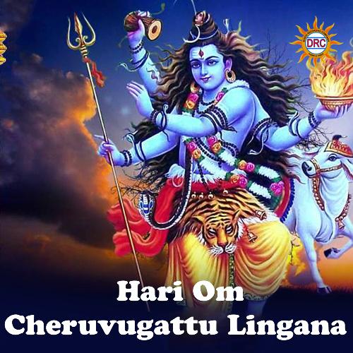 Hari Om Cheruvugattu Lingana