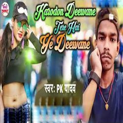 Karodon Deewane Tere Hai Ye Deewana-NQYFbhMFXAA