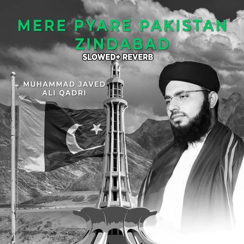 Mere Pyare Pakistan Zindabad (Lofi-Mix)