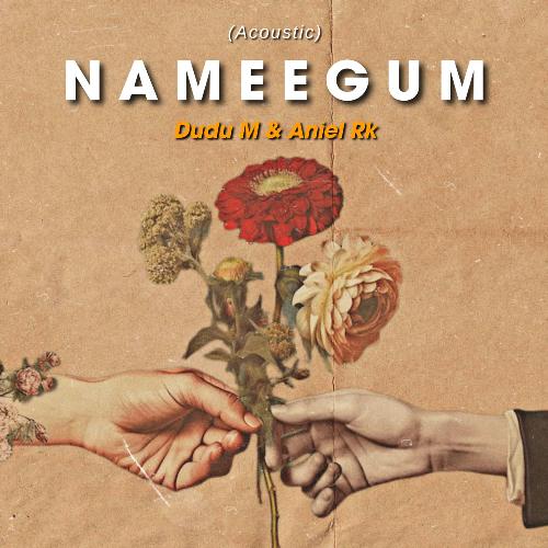 Nameegum (Acoustic)