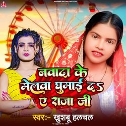 Nawada Me Mela Ghumai Da Ae Raja Ji
