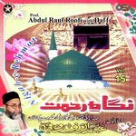 Nigah-e-Rehmat, Vol. 15