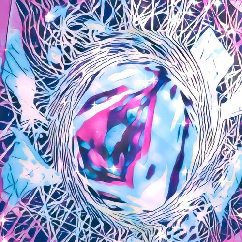 Levy cover art