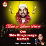 Om Shiv Bhajanaaye Namah