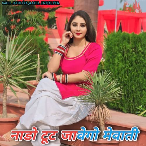 नाडो टूट जावेगो मेवाती