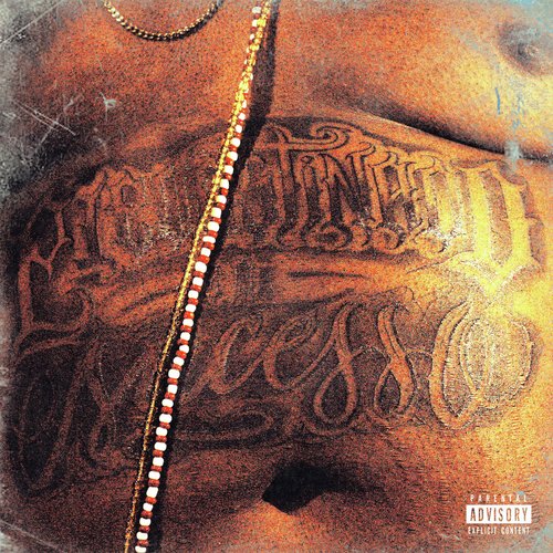 Predestinado ao Sucesso