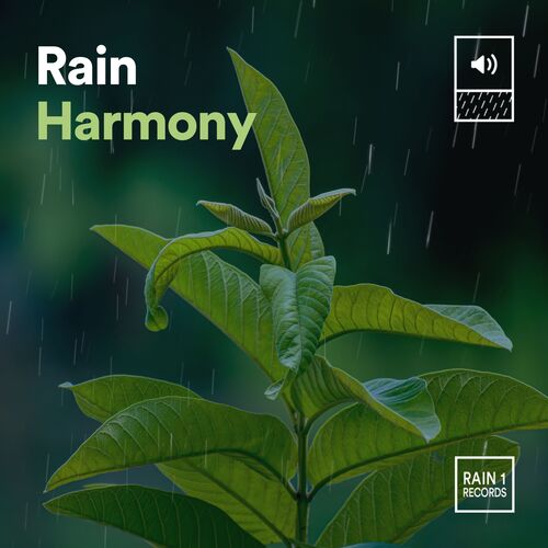 Rain Harmony_poster_image