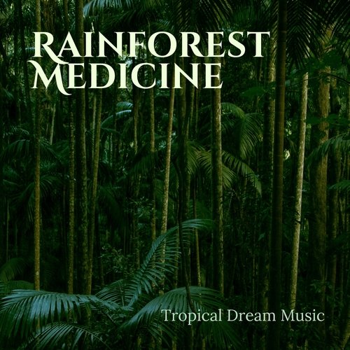 Rainforest Music Lullabies cover art