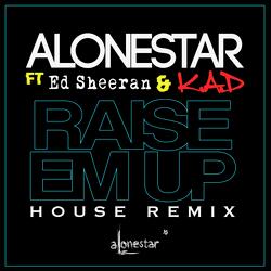 Raise Em Up (House Remix)
