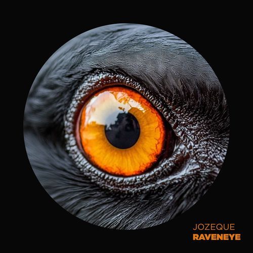 Raveneye cover art
