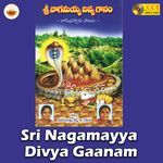Sri Nagamayya Divya Gaanam