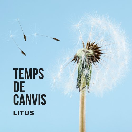 Temps de Canvis_poster_image