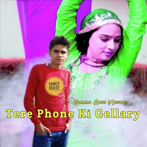Tere Phone Ki Gellary (Mewati)