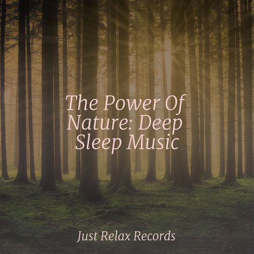 The Power Of Nature: Deep Sleep Music