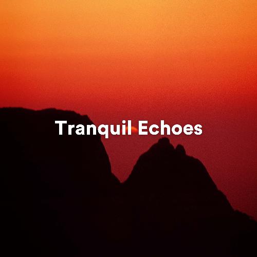 Tranquil Echoes: Ambient Sounds for Meditation and Relaxation_poster_image